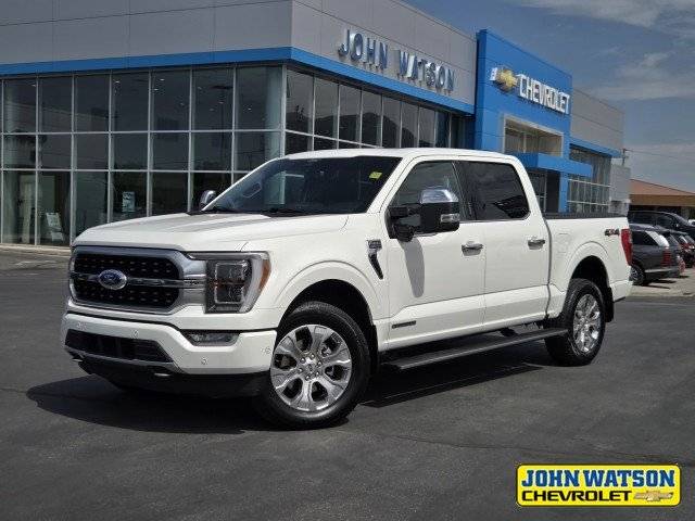 2021 Ford F-150 Platinum 4WD photo