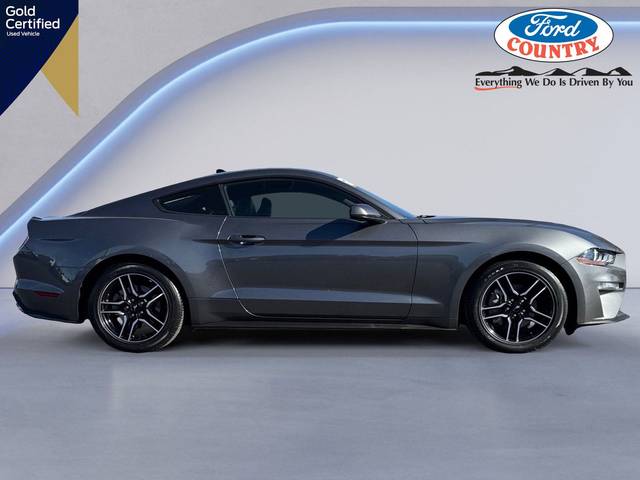 2021 Ford Mustang EcoBoost Premium RWD photo