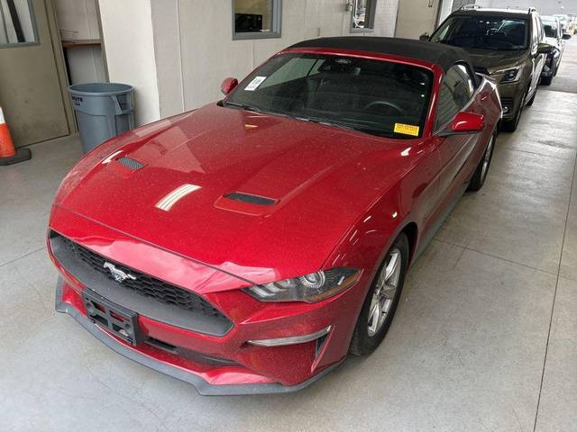 2021 Ford Mustang EcoBoost RWD photo