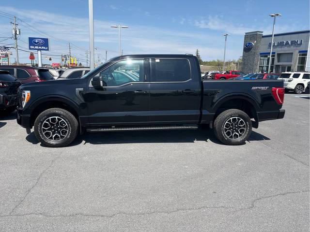 2021 Ford F-150 XLT 4WD photo