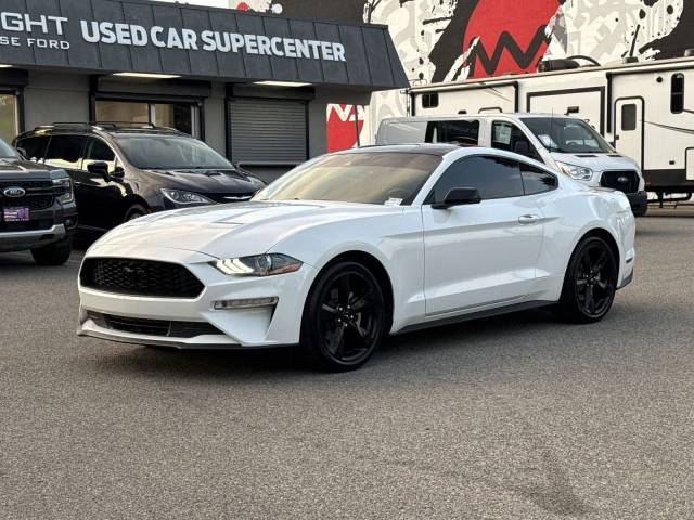 2021 Ford Mustang EcoBoost Premium RWD photo