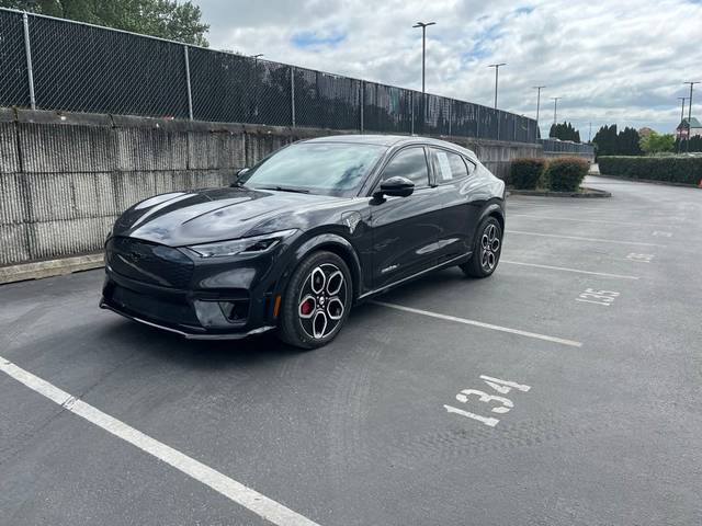2021 Ford Mustang Mach-E GT AWD photo