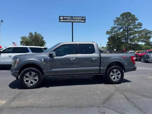 2022 Ford F-150 Platinum 4WD photo