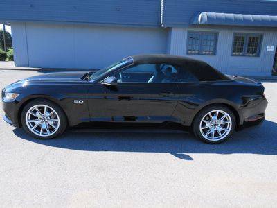 2015 Ford Mustang GT Premium RWD photo