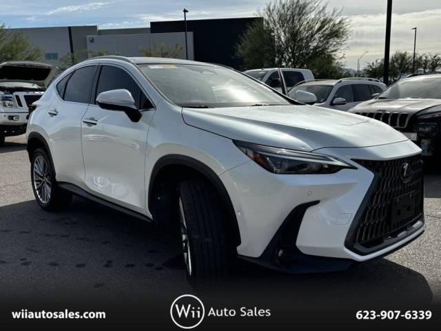 2022 Lexus NX NX 350h Luxury AWD photo