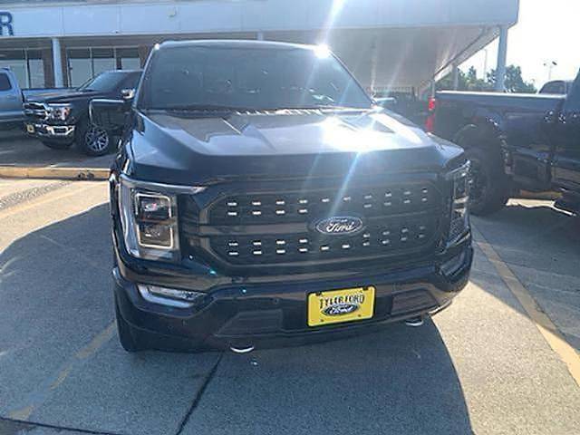 2022 Ford F-150 Platinum 4WD photo