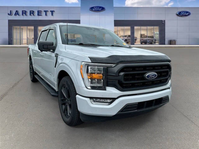 2022 Ford F-150 XLT RWD photo