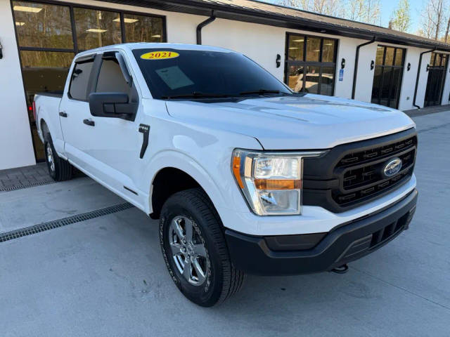 2021 Ford F-150 XL 4WD photo