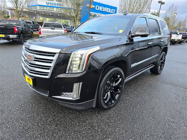 2018 Cadillac Escalade Platinum 4WD photo