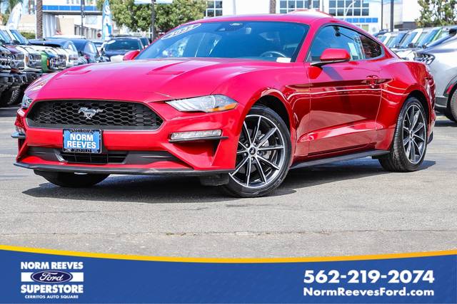 2022 Ford Mustang EcoBoost RWD photo