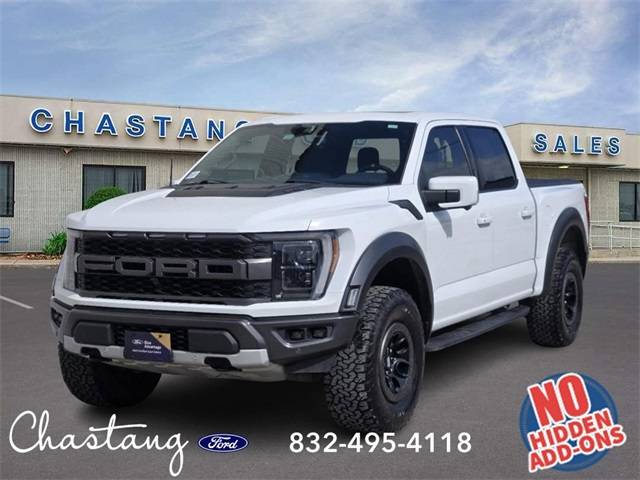 2022 Ford F-150 Raptor 4WD photo