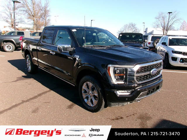 2022 Ford F-150 Platinum 4WD photo