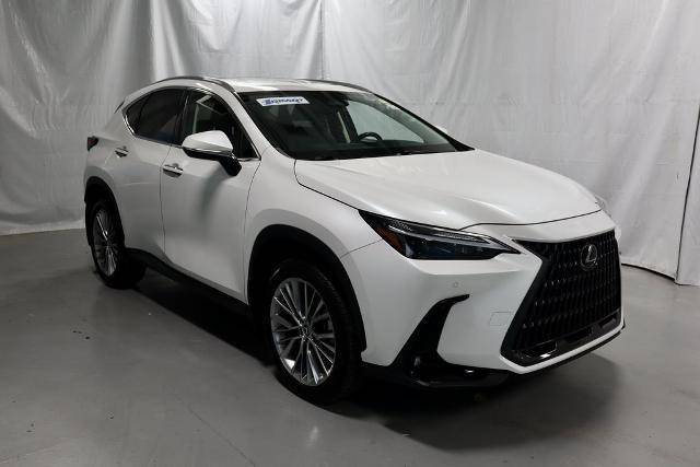 2022 Lexus NX NX 350 Premium AWD photo