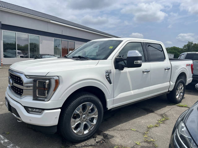 2022 Ford F-150 Platinum 4WD photo