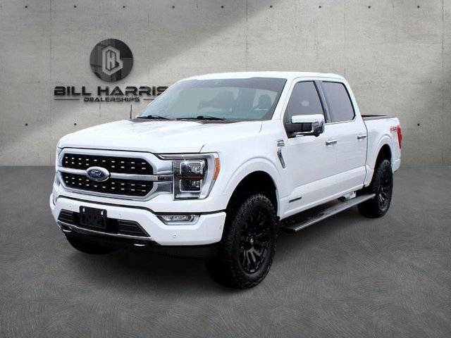 2022 Ford F-150 Platinum 4WD photo
