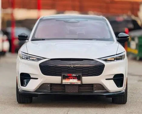 2021 Ford Mustang Mach-E GT AWD photo