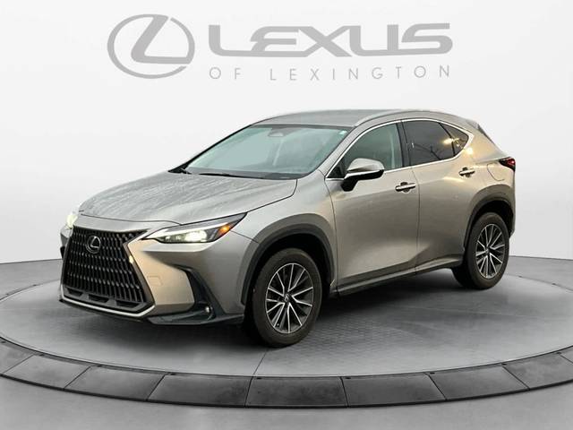 2022 Lexus NX NX 350h AWD photo