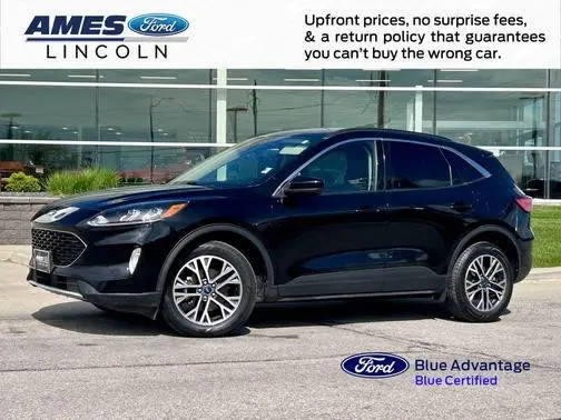 2020 Ford Escape SEL AWD photo