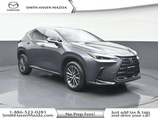 2022 Lexus NX NX 350h AWD photo