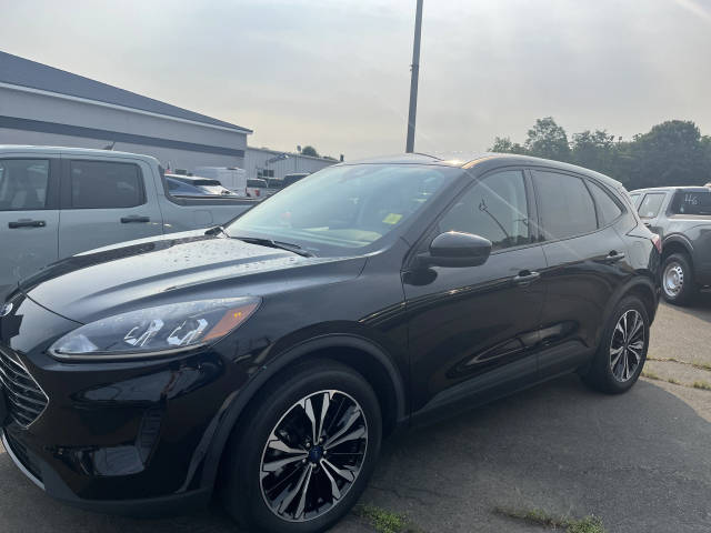 2022 Ford Escape SE AWD photo