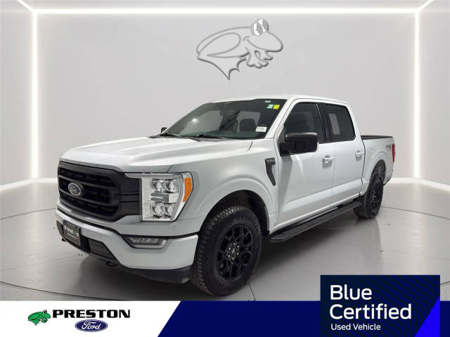 2022 Ford F-150 XLT 4WD photo