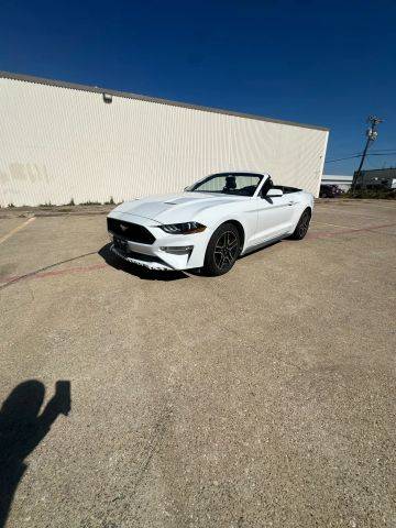 2019 Ford Mustang EcoBoost Premium RWD photo