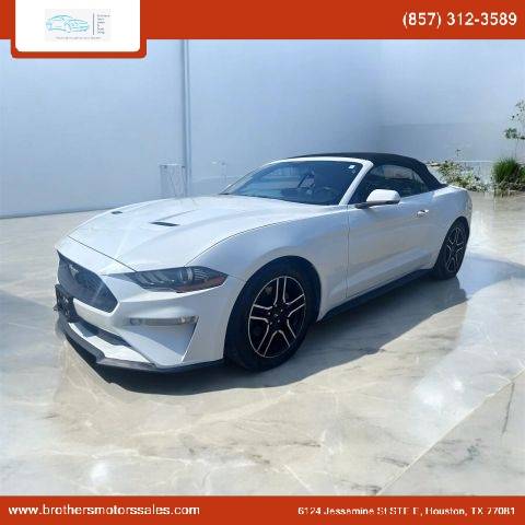 2019 Ford Mustang EcoBoost Premium RWD photo