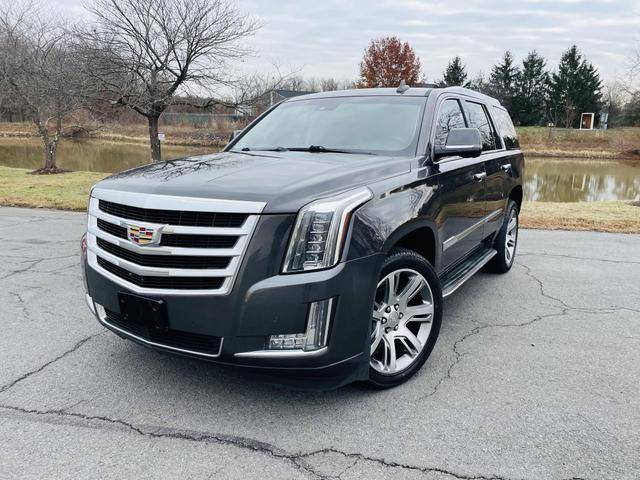 2015 Cadillac Escalade Luxury 4WD photo