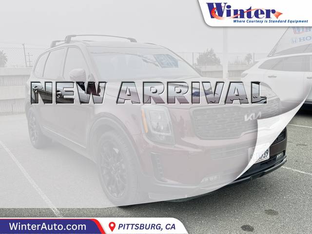 2022 Kia Telluride SX AWD photo