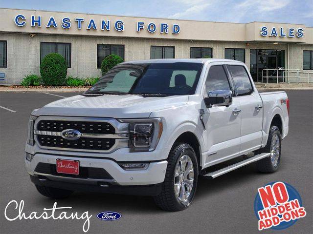 2022 Ford F-150 Platinum 4WD photo