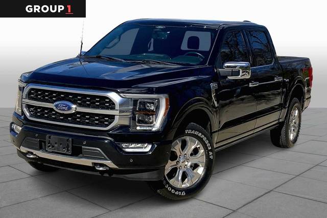 2022 Ford F-150 Platinum 4WD photo