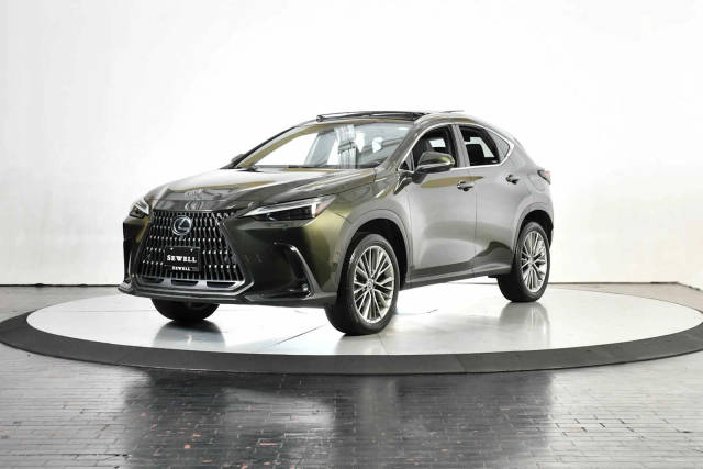 2022 Lexus NX NX 350h Luxury AWD photo
