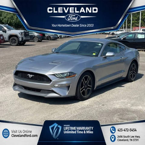 2020 Ford Mustang EcoBoost Premium RWD photo