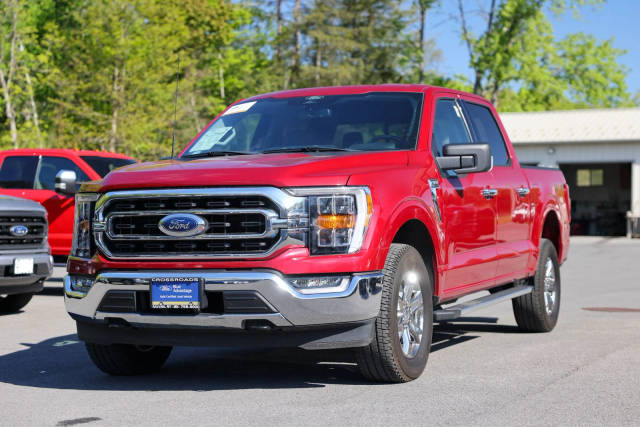 2022 Ford F-150 XLT 4WD photo