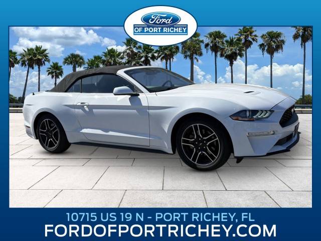 2021 Ford Mustang EcoBoost Premium RWD photo