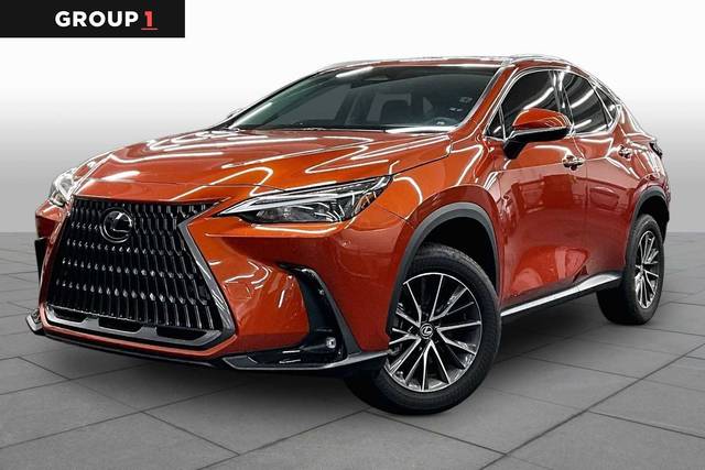 2022 Lexus NX NX 250 Premium AWD photo