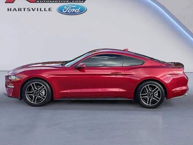 2022 Ford Mustang EcoBoost RWD photo