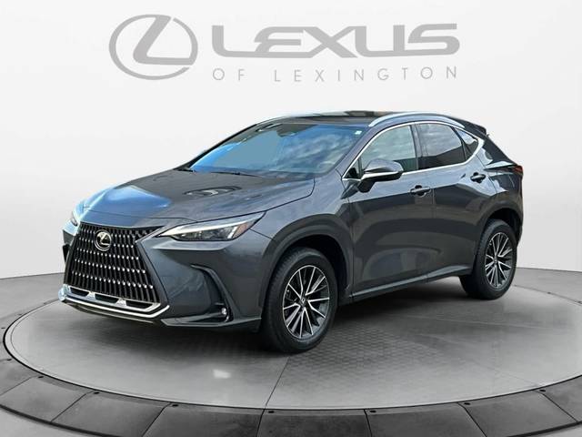 2022 Lexus NX NX 350 AWD photo