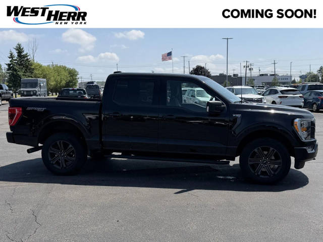 2022 Ford F-150 XLT 4WD photo