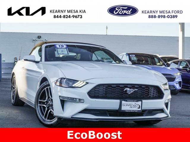 2019 Ford Mustang EcoBoost RWD photo