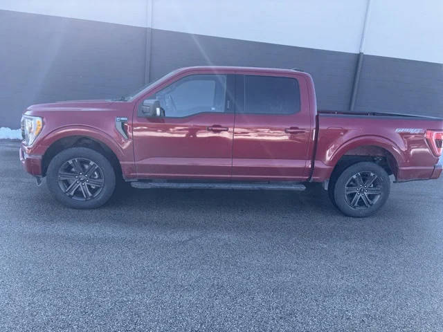 2022 Ford F-150 XLT 4WD photo