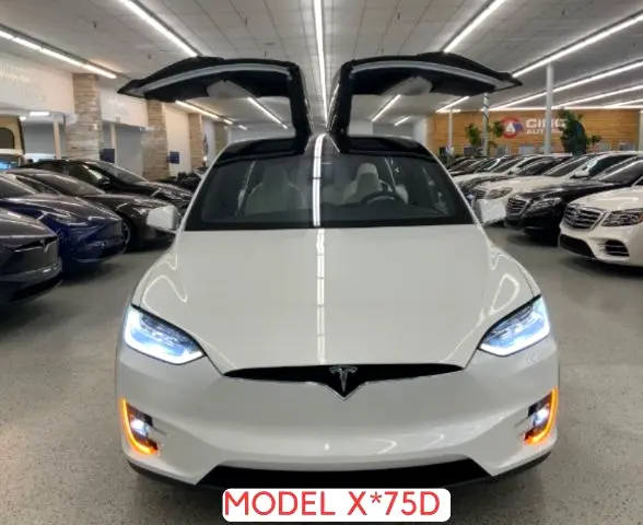 2019 Tesla Model X 75D AWD photo