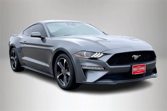 2022 Ford Mustang EcoBoost RWD photo