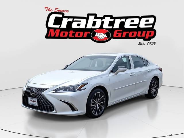 2022 Lexus ES ES 250 AWD photo