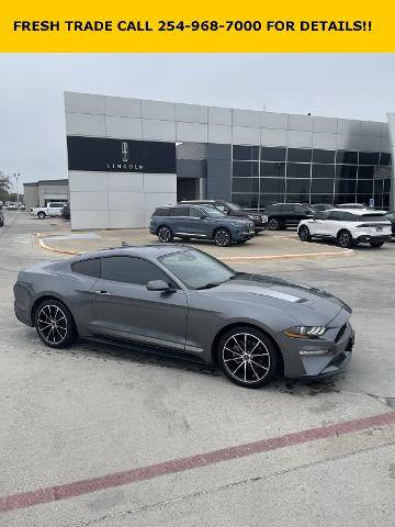 2022 Ford Mustang EcoBoost RWD photo