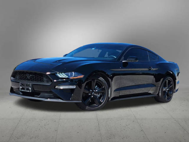 2022 Ford Mustang EcoBoost RWD photo