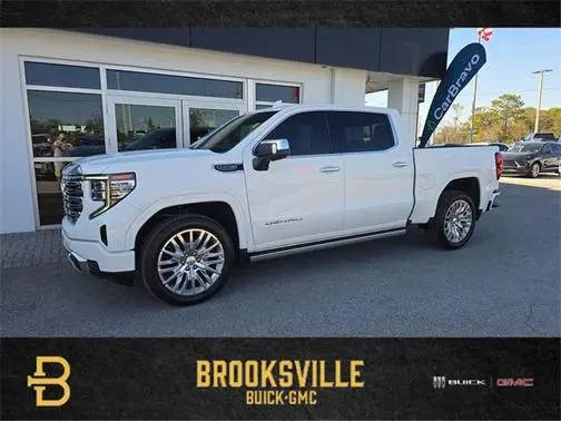 2022 GMC Sierra 1500 Denali 4WD photo