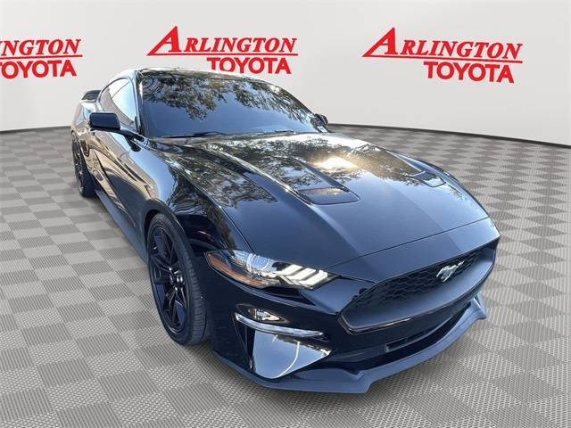 2022 Ford Mustang EcoBoost RWD photo