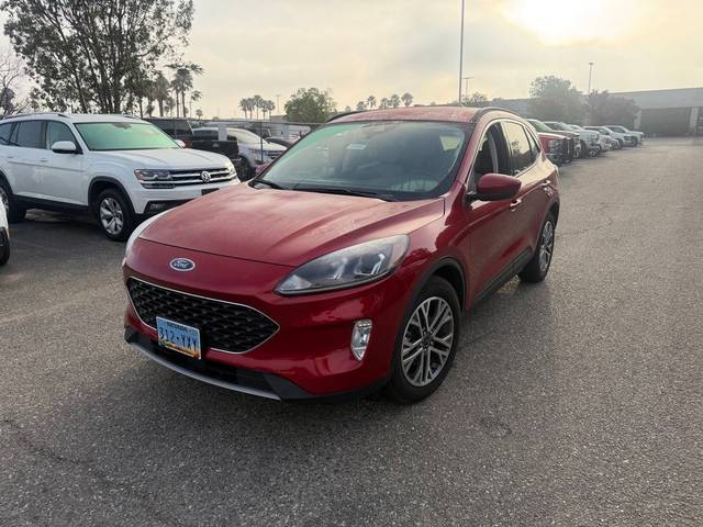 2022 Ford Escape SEL FWD photo
