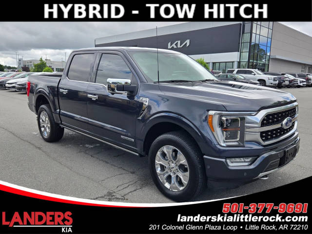 2022 Ford F-150 Platinum 4WD photo